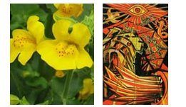 Mimulus, o floral que encara a Torre Ilustração da flor: www.bradford.gov.uk e a carta da Torre no Tarô de Crowley