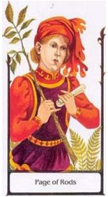 O Pajem (Valete) de Paus Old Path Tarot