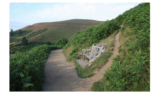 http://commons.wikimedia.org/wiki/File:Path_split_by_the_%22Batchelor%22_seat_-_geograph.org.uk_-_1387239.jpg