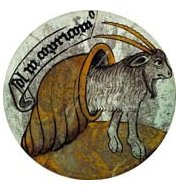 signo-capricornio
