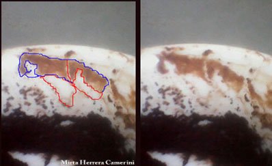 Leitura de símbolos na borra de café por Mirta Herrera