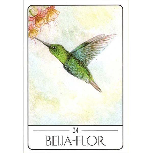 Tarot dos Animais Sul-Americanos - Carta Beija-Flor