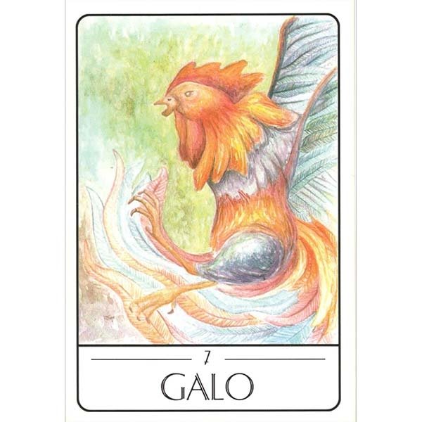 Tarot dos Animais Sul-Americanos - Carta Galo