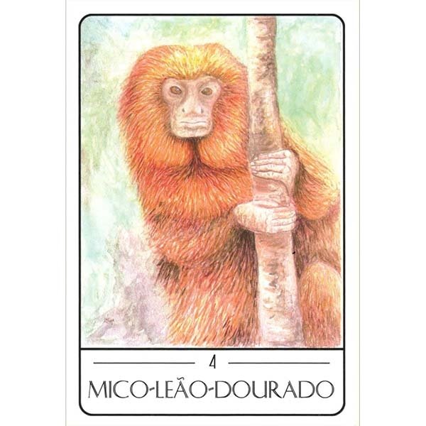 Tarot dos Animais Sul-Americanos - Carta Mico Leão Dourado