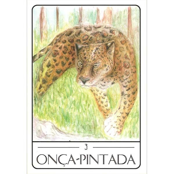 Tarot dos Animais Sul-Americanos - Carta Onça-Pintada