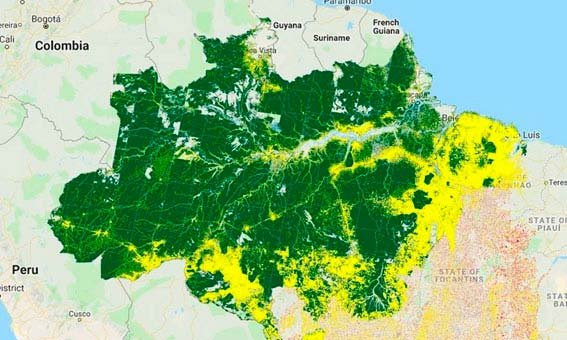 Desmatamento Amazonia