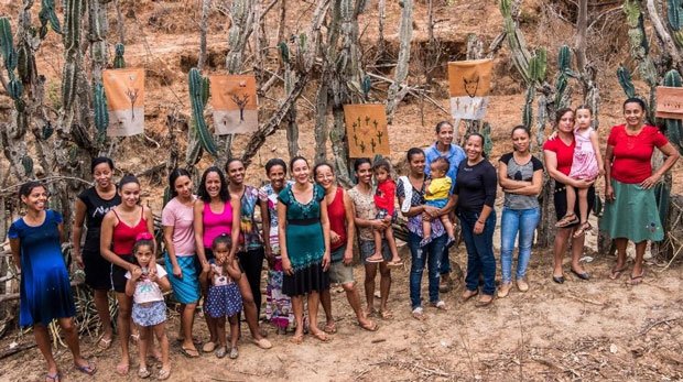 Mães de família, bordadeiras e senhoras nos improvisos Imagem: Érika Riani - Bordadeiras de Curtume, Vale do Jequitinhonha em www.uol.com.br/ecoa