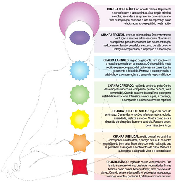 A posição dos sete chakras e suas correspondências Ilustração no www.jornalnh.com.br