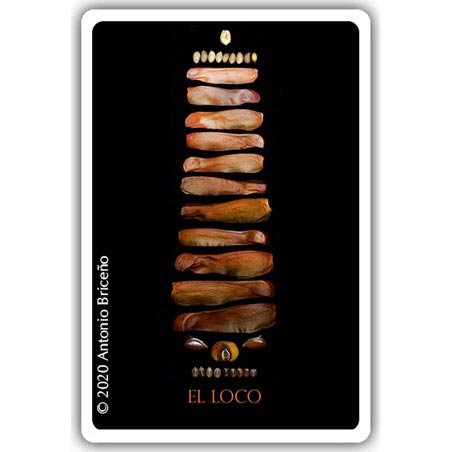 Tarot do Jardim | Carta El Loco