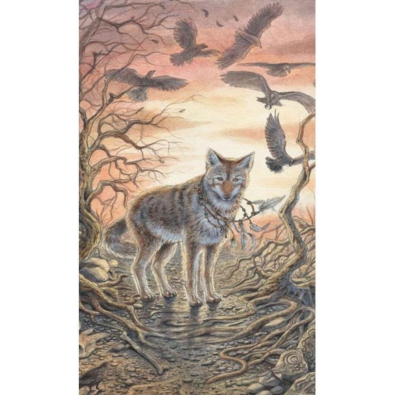 Animals Divine Tarot | Carta The Fool