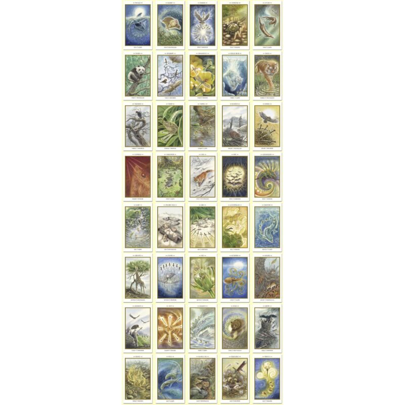 Animals Divine Tarot | Cartas Arcanos Menores