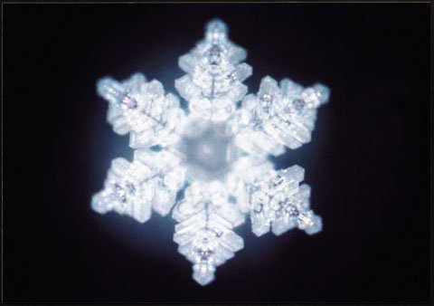 Cristal de água em forma de floco com seis pontas.